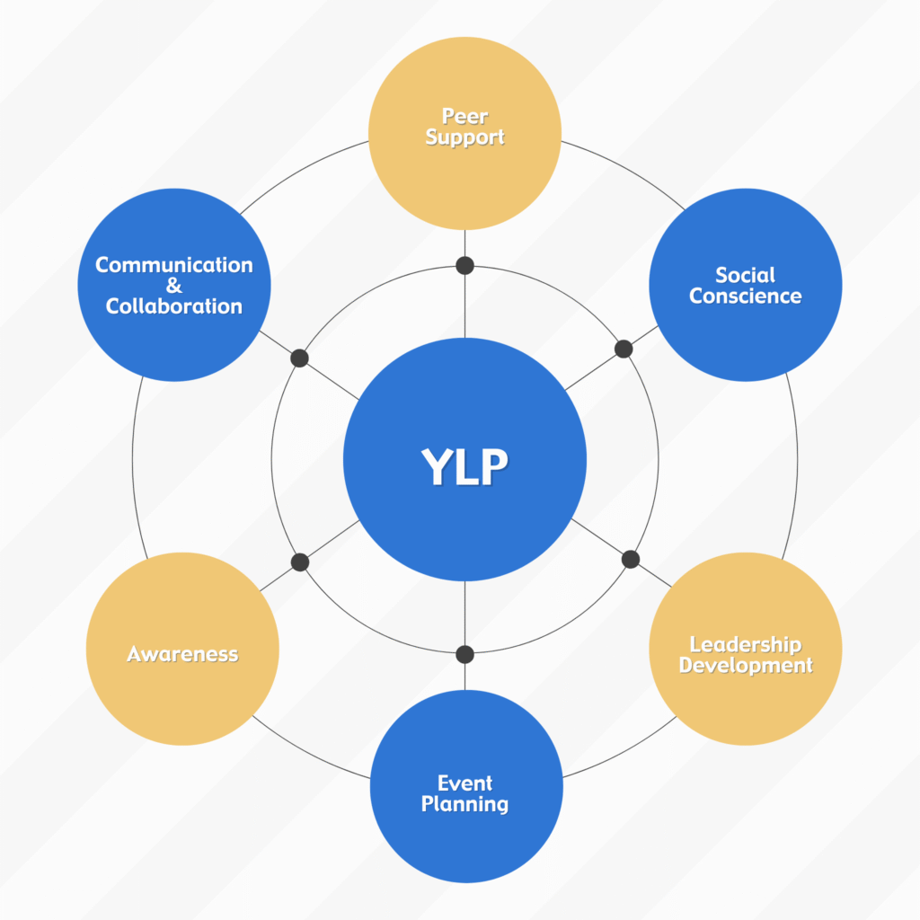 YLP Details Graphic