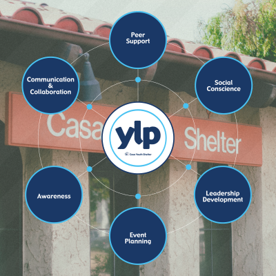 YLP Details Graphic